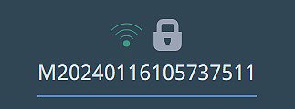 lock1.2.jpg